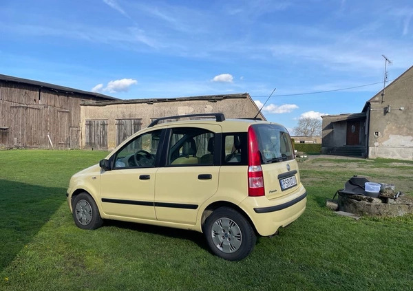 Fiat Panda cena 5500 przebieg: 235000, rok produkcji 2005 z Lidzbark małe 67